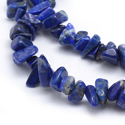Natural Lapis Lazuli Beads Strands G-P332-50-1