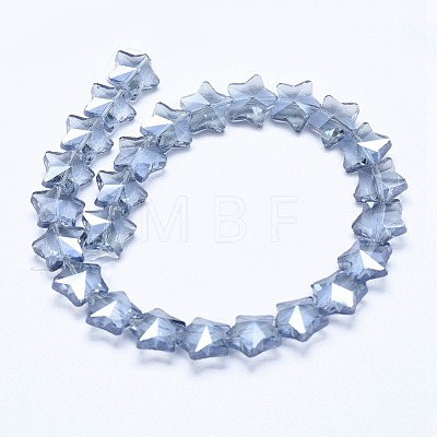 Glass Beads Strands EGLA-F131-1