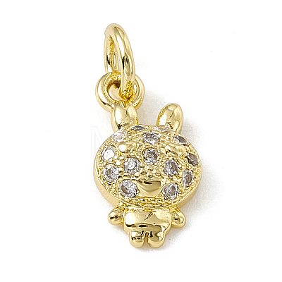 Brass Micro Pave Cubic Zirconia Charms ZIRC-F132-78G-1