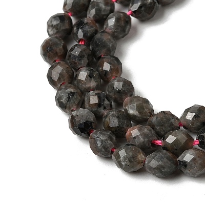 Natural Syenite Beads Strands G-K376-F09-01-1