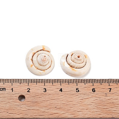 Natural Shiva Eye Shell Beads BSHE-S090-1