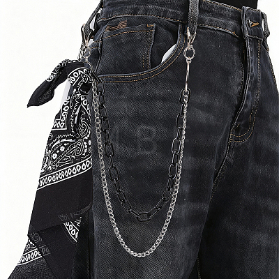 1Pc Alloy Curb Chain & Plastic Paperclip Chain Double Layer Chains for Pants AJEW-BM0001-26-1