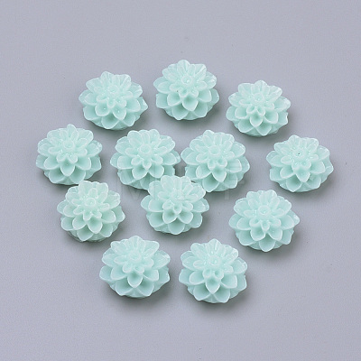 Resin Cabochons RB772Y-16-1