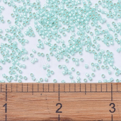 MIYUKI Delica Beads SEED-MY11-DB0626-1