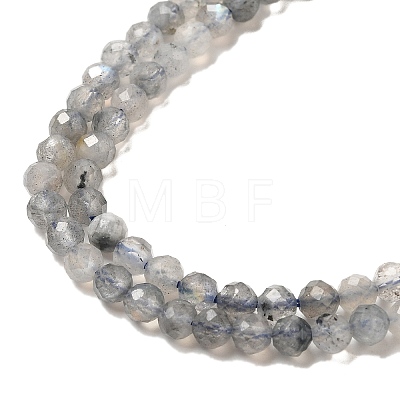 Natural Rainbow Moonstone Beads Strands G-R475-025D-1