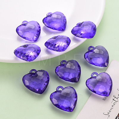 Transparent Acrylic Pendants TACR-T024-03B-936-1