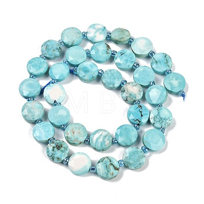 Dyed Natural Howlite Beads Strands G-C116-A63-01-1