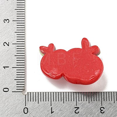 Christmas Theme Opaque Resin Decoden Cabochons CRES-B022-05G-1