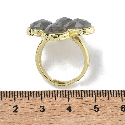 Natural Labradorite Faceted Adjustable Finger Rings for Women RJEW-A092-01G-12-1