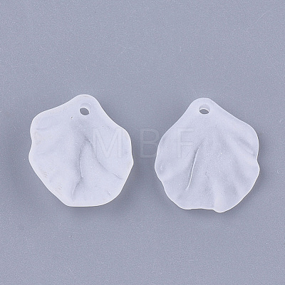 Transparent Acrylic Pendants FACR-T001-13-1