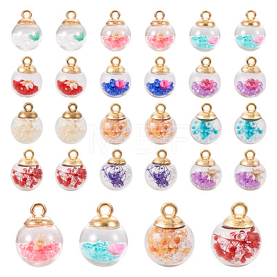 48Pcs 12 Styles Transparent Glass Globe Pendants GLAA-TA0001-30-1