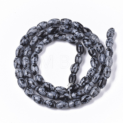 Natural Snowflake Obsidian Beads Strands G-S364-012-1