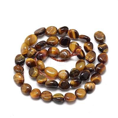 Natural Tiger Eye Beads Strands G-R445-8x10-05-1