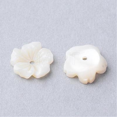 Natural Sea Shell Beads SSHEL-S250-14-1