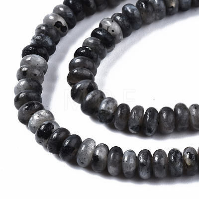 Natural Larvikite Beads Strands G-S366-091A-1