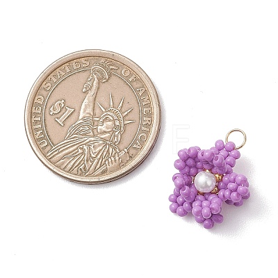 Glass Seed Beaded Pendants PALLOY-MZ01246-04-1