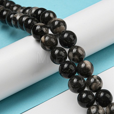 Natural Black Fossil Coral Beads Strands G-R494-A04-04-1