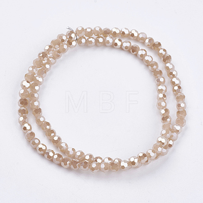 Electroplate Glass Beads Strands EGLA-F120-PL-B01-1