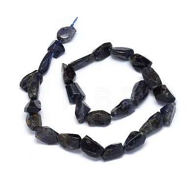 Natural Cordierite/Iolite/Dichroite Beads Strands G-O173-002-1