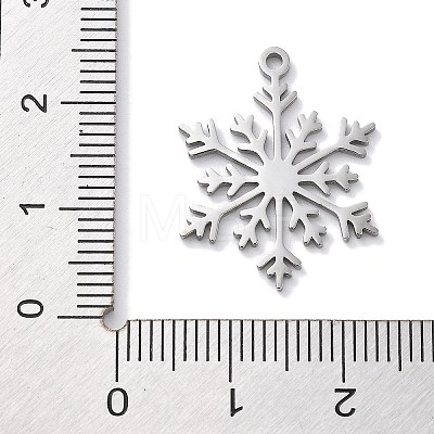 Christmas Theme Anti-Tarnish 304 Stainless Steel Pendants STAS-R003-04P-05-1