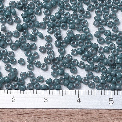 MIYUKI Round Rocailles Beads SEED-G007-RR4481-1