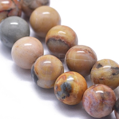 Natural Venus Jasper Beads Strands G-K293-F01-B-1