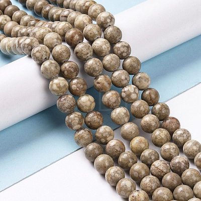 Natural Maifanite/Maifan Stone Beads Strands G-I187-10mm-01-1