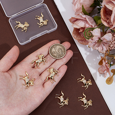 8Pcs Brass Micro Pave Cubic Zirconia Pendants KK-PH0014-77-1