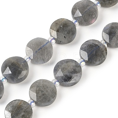 Natural Labradorite Beads Strands G-C116-A46-01-1