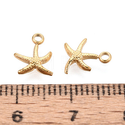 304 Stainless Steel Charms STAS-G352-30G-03-1