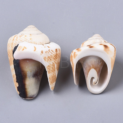 Natural Spiral Shell Beads SSHEL-S258-82-1