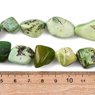 Natural Serpentine Beads Strands G-D098-C06-1