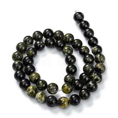 Natural Serpentine Beads Strands G-F709-01-1