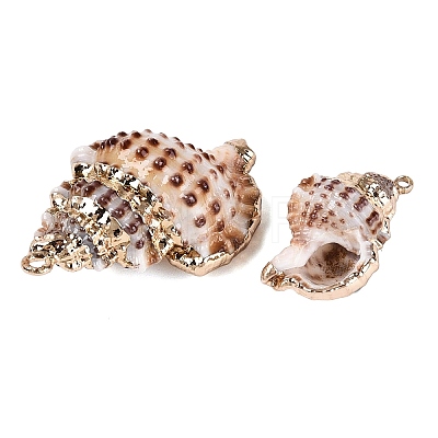 Electroplate Natural Spiral Shell Pendants SSHEL-Q100-40G-1