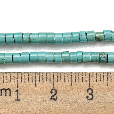 Natural Turquoise Beads Strands G-C084-D10-02-1