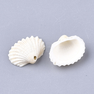 Spiral Shell Charms SSHEL-S251-14-1