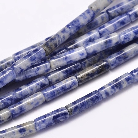 Natural Blue Spot Jasper Column Beads Strands G-F247-02-1