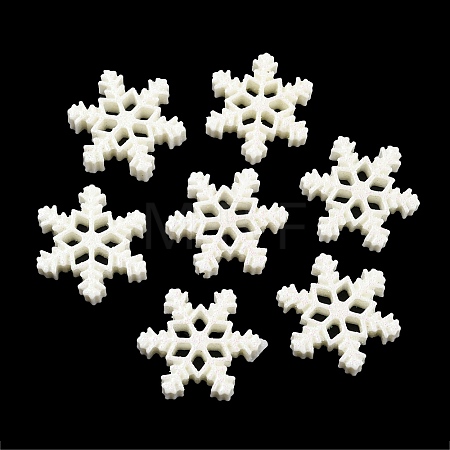 Opaque Resin Cabochons RESI-XCP0002-08-1