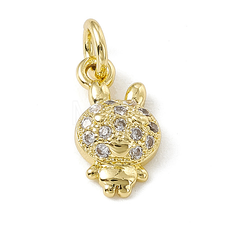 Brass Micro Pave Cubic Zirconia Charms ZIRC-F132-78G-1
