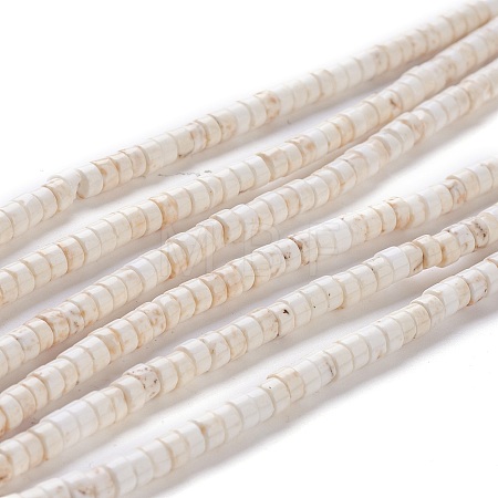 Natural Magnesite Beads Strands G-H230-37-1