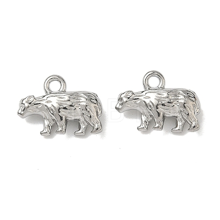 304 Stainless Steel Charms LS-STAS-I367-10P-1