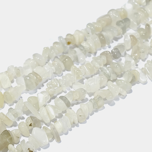 Natural White Moonstone Chip Beads Strands X-G-E271-112-1