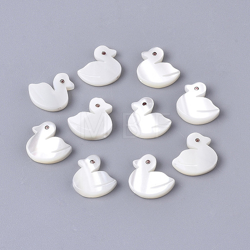 10Pcs Natural Trochid Shell/Trochus Shell Beads SHEL-CJ0001-31-1