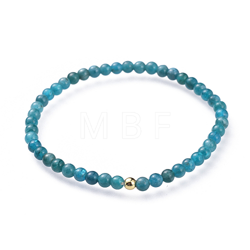 Natural Apatite Stretch Bracelets BJEW-JB04556-02-1