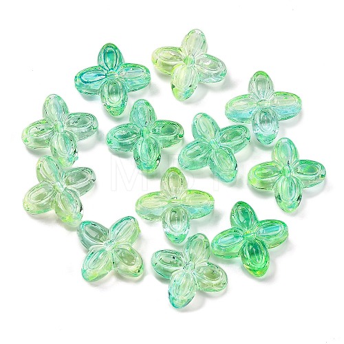 794Pcs Two Tone Transparent Acrylic Beads MACR-K359-24D-1