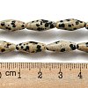 Natural Dalmatian Jasper Beads Strands G-A223-A08-01-5