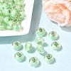 Drawbench Resin European Large Hole Beads DACR-S011-06-5