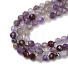 Natural Amethyst Beads Strands G-G189-D23-06-4