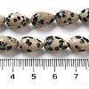 Natural Dalmatian Jasper Beads Strands G-B106-A29-02-5