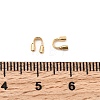 Brass Wire Guardian and Protectors KK-F916-07A-G-3
